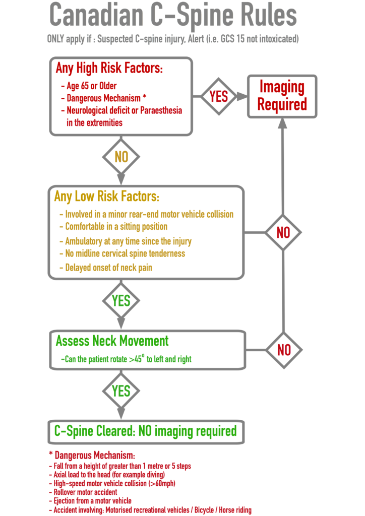 Spinal injury assessment