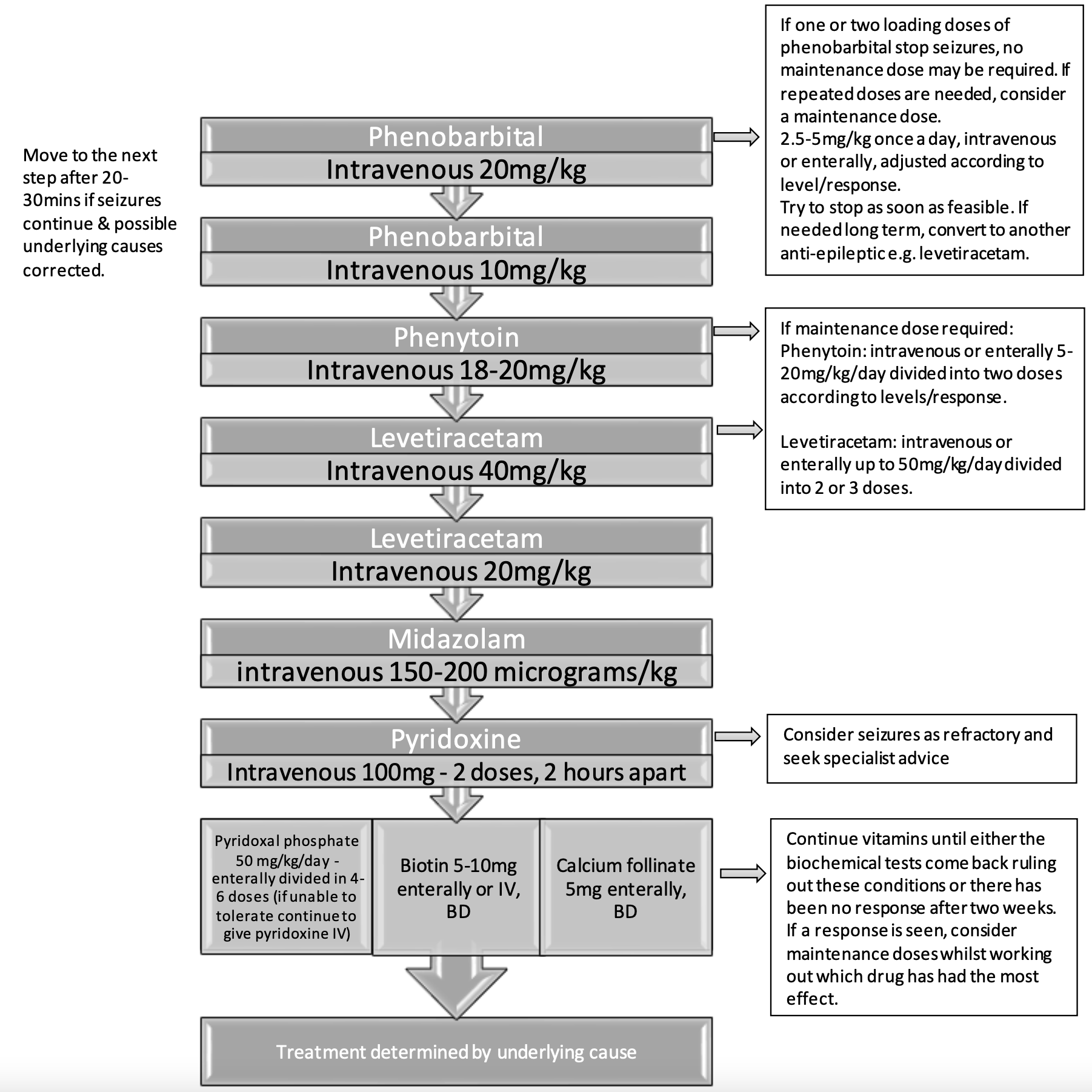 Neonatal Seizures – EMbeds.co.uk